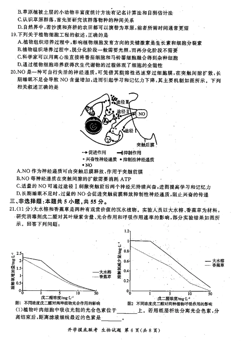 生物-山东省百师联盟高三开学摸底联考_2024-2025高三（6-6月题库）_2024年09月试卷_0907山东省百师联盟2025届高三开学摸底联考