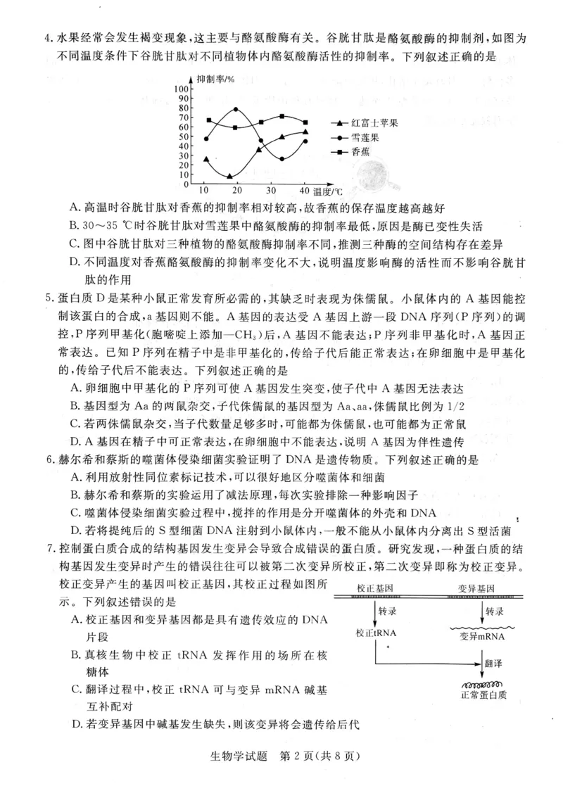 河南省新未来大联考2024-2025学年高三上学期9月开学联考生物试题（PDF版，无答案）_2024-2025高三（6-6月题库）_2024年09月试卷_09032025届河南省金科新未来高三9月大联考