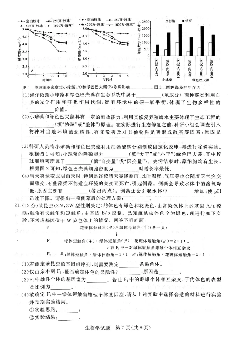 河南省新未来大联考2024-2025学年高三上学期9月开学联考生物试题（PDF版，无答案）_2024-2025高三（6-6月题库）_2024年09月试卷_09032025届河南省金科新未来高三9月大联考