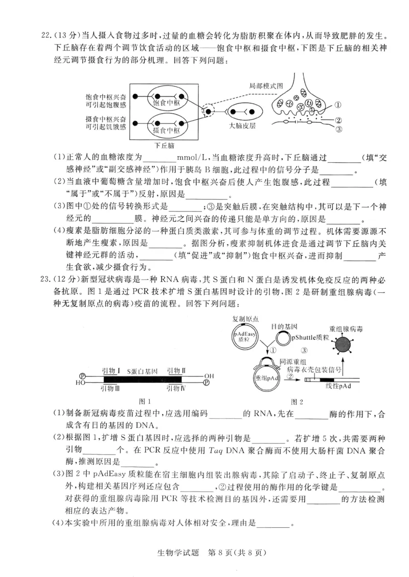 河南省新未来大联考2024-2025学年高三上学期9月开学联考生物试题（PDF版，无答案）_2024-2025高三（6-6月题库）_2024年09月试卷_09032025届河南省金科新未来高三9月大联考
