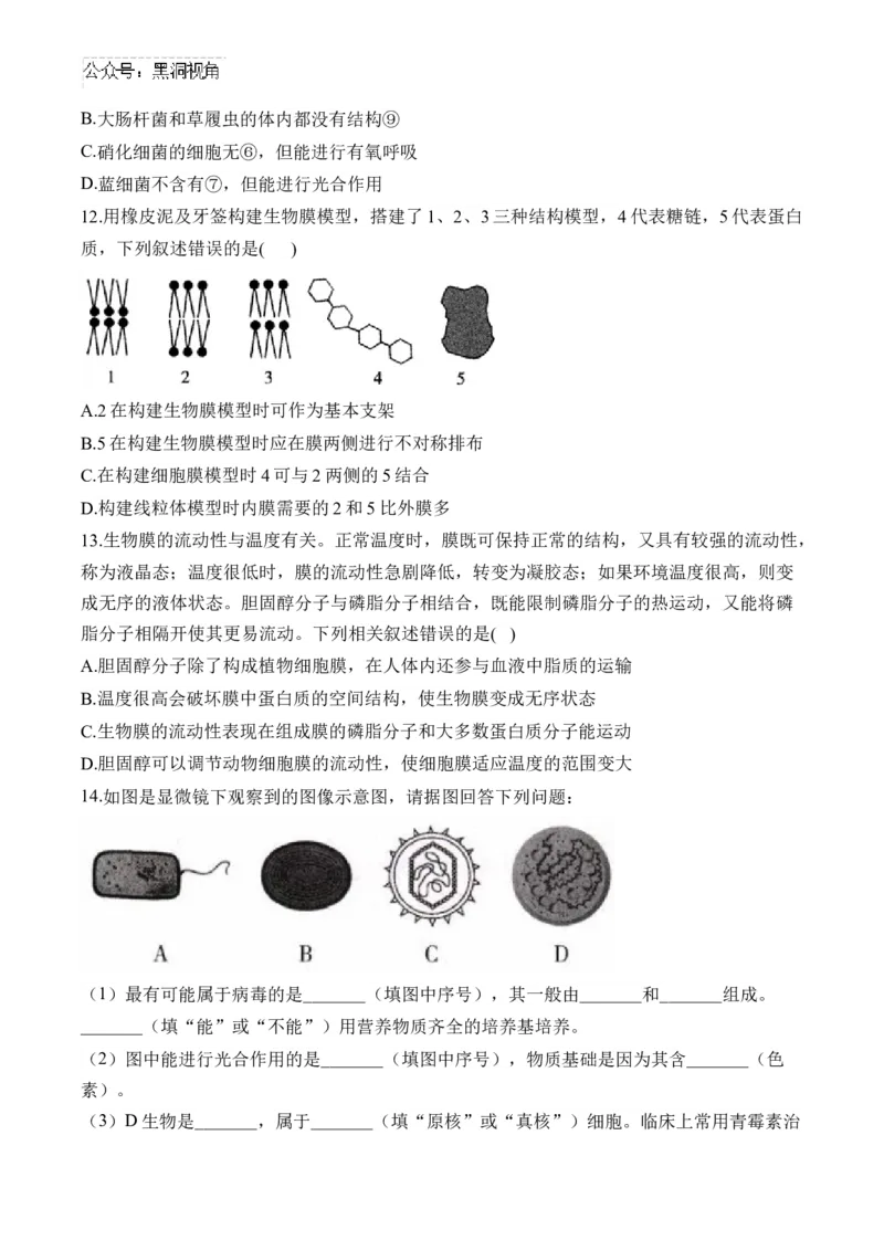 （2）细胞的结构与功能&mdash;&mdash;2025届高考生物二轮复习易错重难提升（含解析）_2024-2025高三（6-6月题库）_2025年02月试卷_02162025届高考生物二轮复习易错重难提升（含解析）
