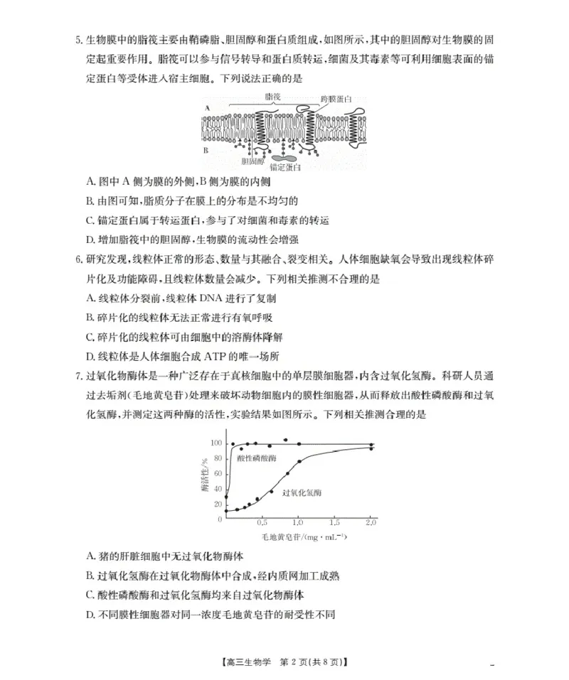 福建省2026届高三上学期10月联考（26-64C）生物_2024-2026高三（6-6月题库）_2025年10月高三试卷_251028金太阳&middot;福建省2026届高三上学期10月联考（26-64C）（全科)