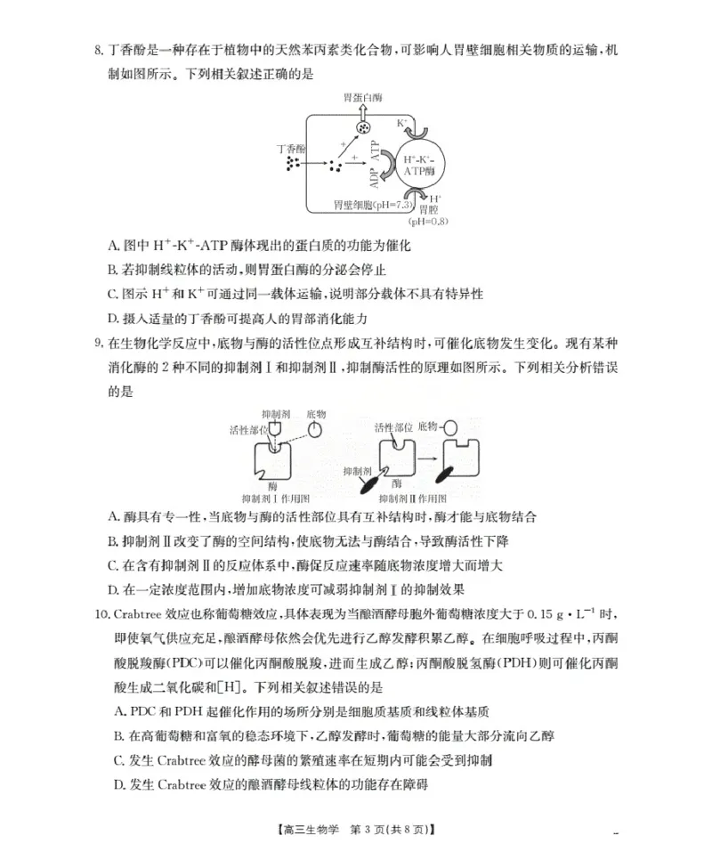 福建省2026届高三上学期10月联考（26-64C）生物_2024-2026高三（6-6月题库）_2025年10月高三试卷_251028金太阳&middot;福建省2026届高三上学期10月联考（26-64C）（全科)