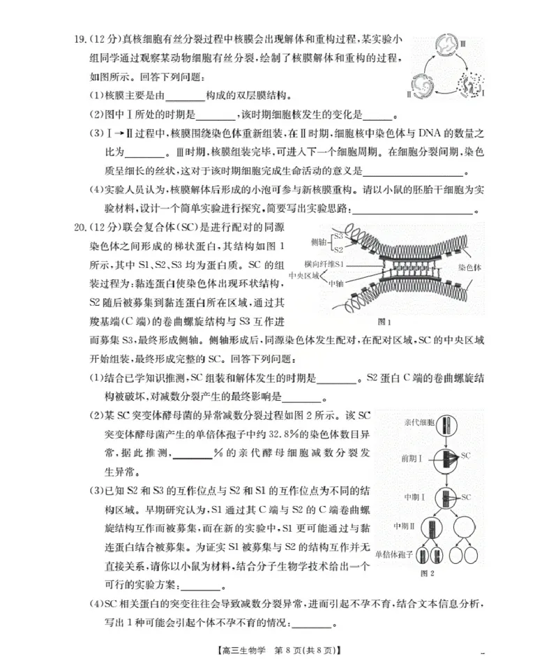 福建省2026届高三上学期10月联考（26-64C）生物_2024-2026高三（6-6月题库）_2025年10月高三试卷_251028金太阳&middot;福建省2026届高三上学期10月联考（26-64C）（全科)
