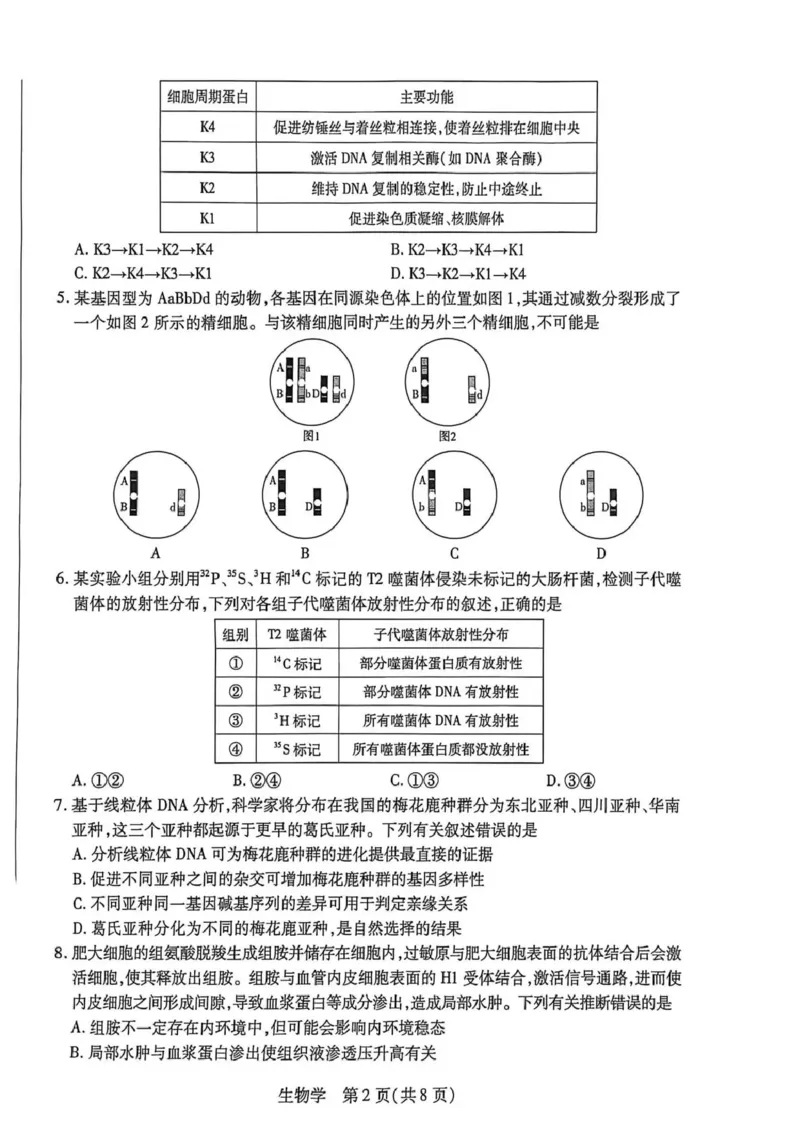新乡、鹤壁、安阳、焦作2026届高三上学期一模生物_2024-2026高三（6-6月题库）_2026年01月高三试卷_0113河南新乡、鹤壁、安阳、焦作2026届高三上学期一模