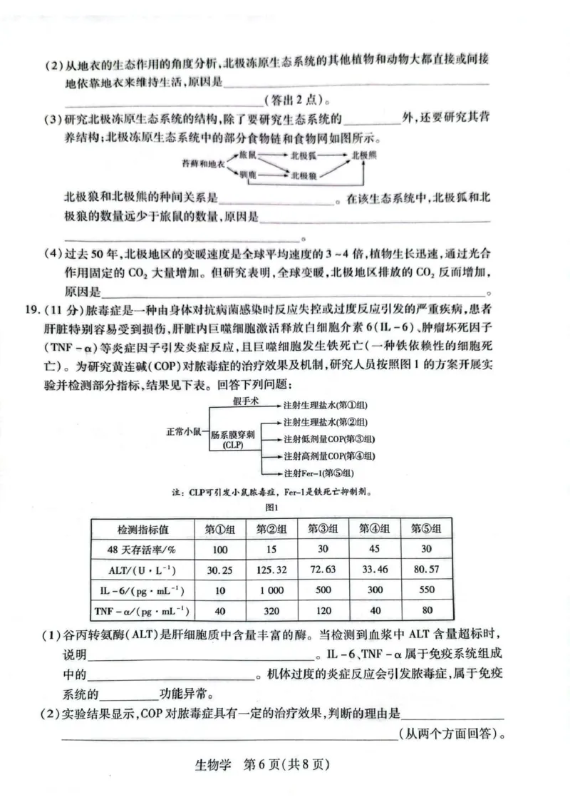 新乡、鹤壁、安阳、焦作2026届高三上学期一模生物_2024-2026高三（6-6月题库）_2026年01月高三试卷_0113河南新乡、鹤壁、安阳、焦作2026届高三上学期一模