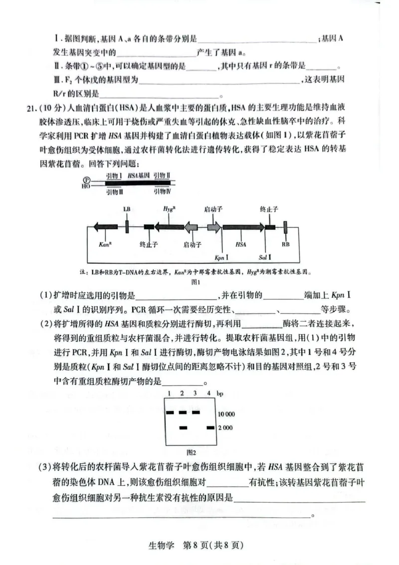新乡、鹤壁、安阳、焦作2026届高三上学期一模生物_2024-2026高三（6-6月题库）_2026年01月高三试卷_0113河南新乡、鹤壁、安阳、焦作2026届高三上学期一模