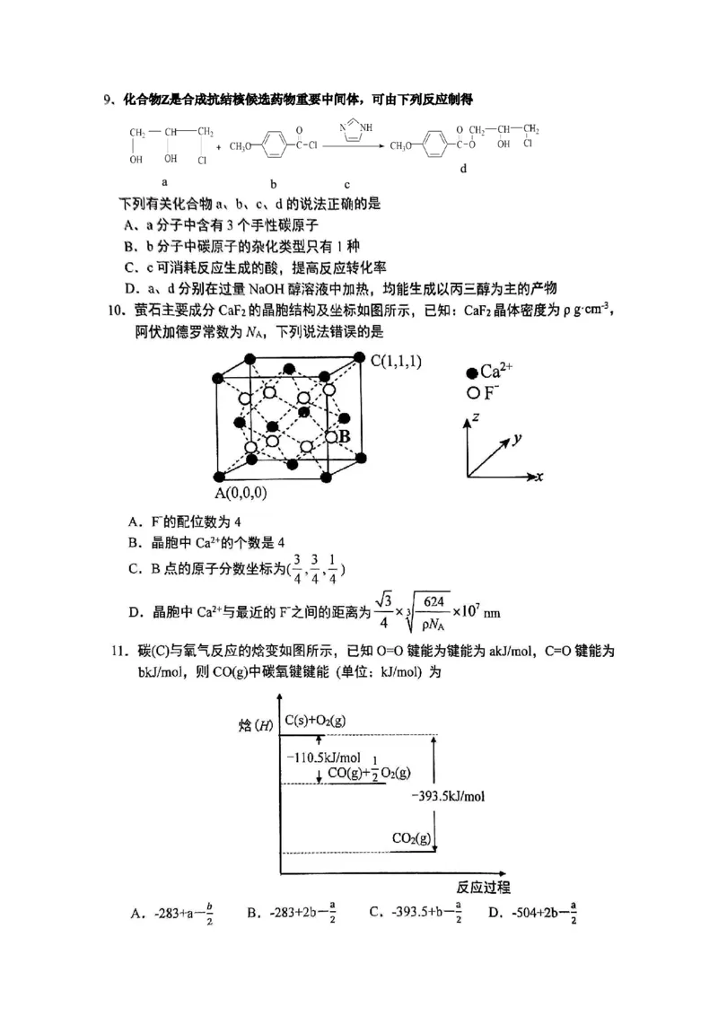 重庆实验外国语学校2025-2026学年度（上）高2026届1月期末考试（七）化学_2024-2026高三（6-6月题库）_2026年01月高三试卷