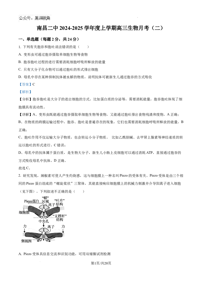 精品解析：江西省南昌市东湖区南昌市第二中学2024-2025学年高三上学期11月月考生物试题（解析版）_2024-2025高三（6-6月题库）_2024年12月试卷