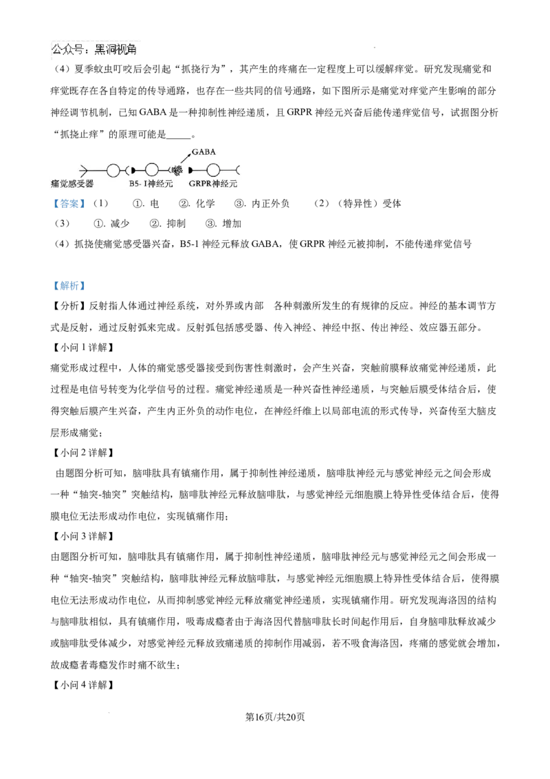精品解析：江西省南昌市东湖区南昌市第二中学2024-2025学年高三上学期11月月考生物试题（解析版）_2024-2025高三（6-6月题库）_2024年12月试卷