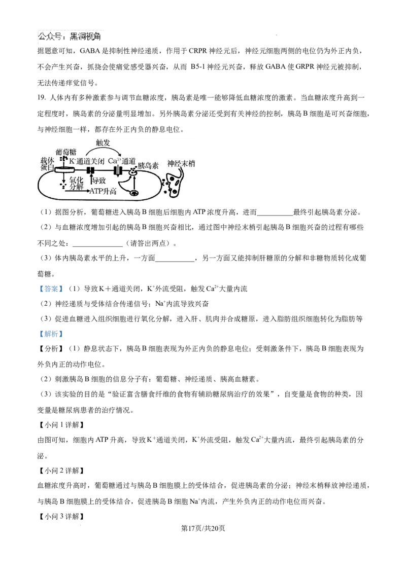 精品解析：江西省南昌市东湖区南昌市第二中学2024-2025学年高三上学期11月月考生物试题（解析版）_2024-2025高三（6-6月题库）_2024年12月试卷