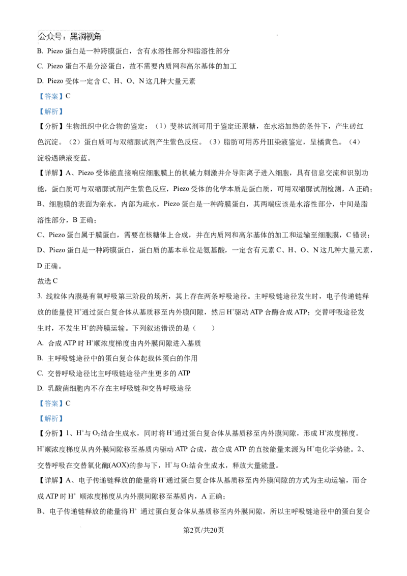 精品解析：江西省南昌市东湖区南昌市第二中学2024-2025学年高三上学期11月月考生物试题（解析版）_2024-2025高三（6-6月题库）_2024年12月试卷