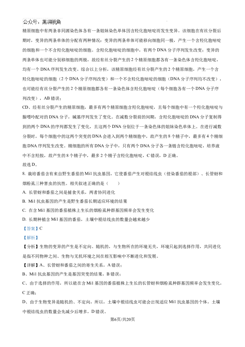 精品解析：江西省南昌市东湖区南昌市第二中学2024-2025学年高三上学期11月月考生物试题（解析版）_2024-2025高三（6-6月题库）_2024年12月试卷