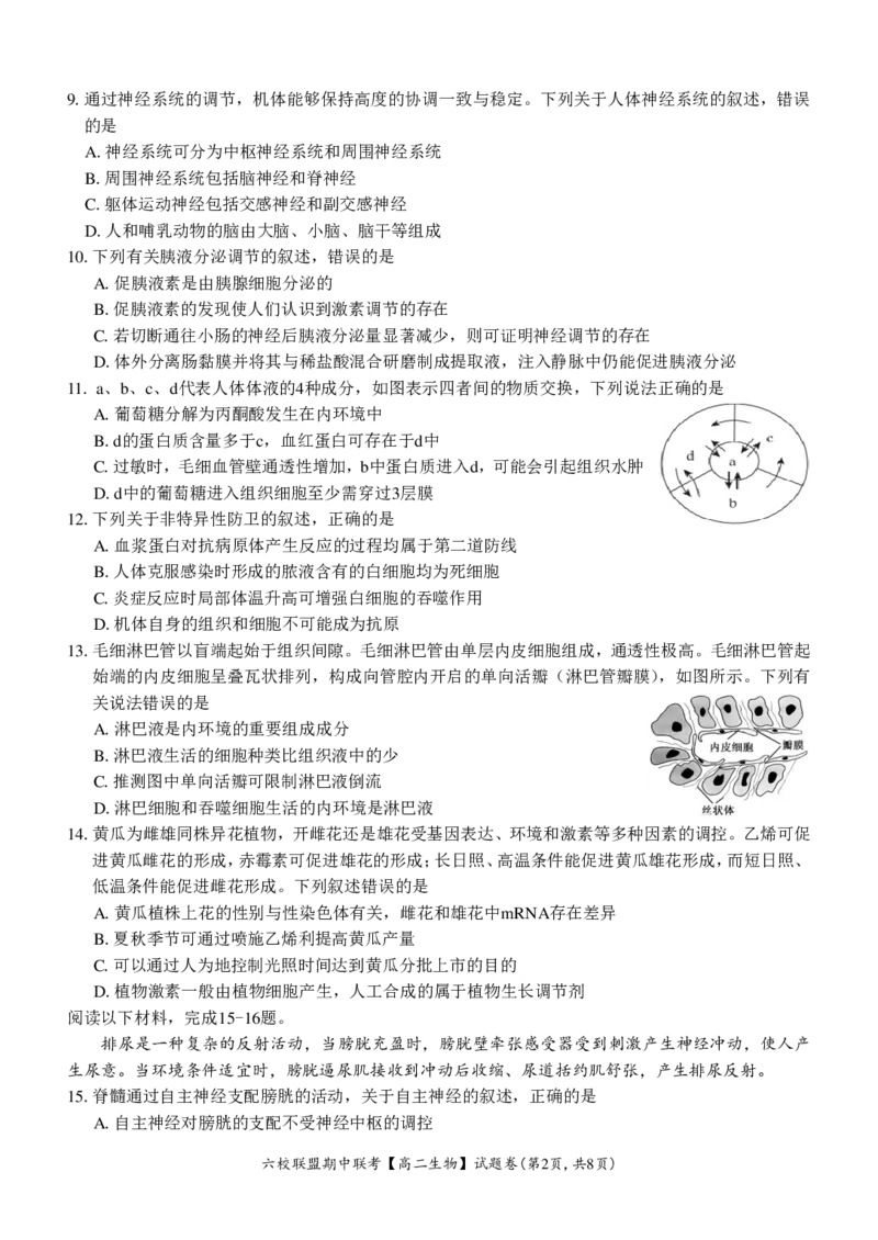 生物试题_2024-2025高二（7-7月题库）_2024年12月试卷_1205浙江省六校联盟2024-2025学年高二期中联考_浙江省六校联盟2024-2025学年高二上学期期中联考生物试题