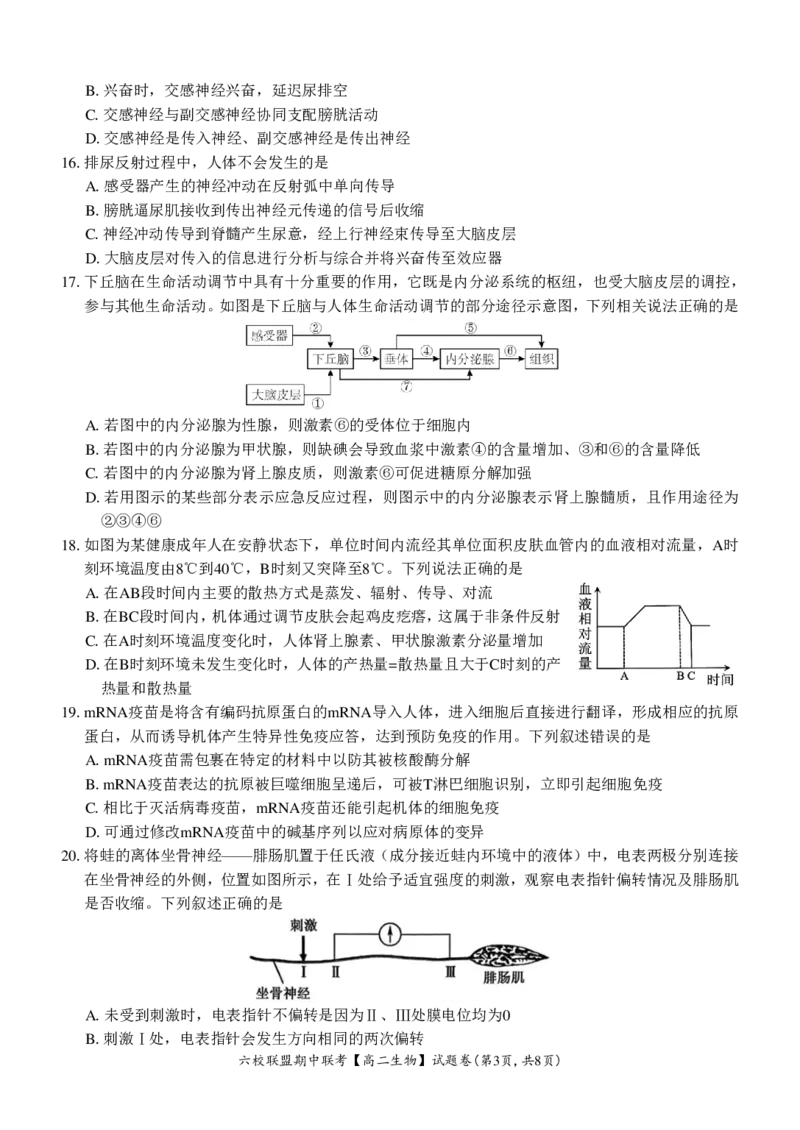 生物试题_2024-2025高二（7-7月题库）_2024年12月试卷_1205浙江省六校联盟2024-2025学年高二期中联考_浙江省六校联盟2024-2025学年高二上学期期中联考生物试题