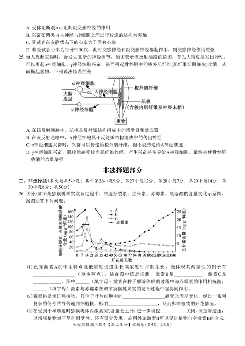 生物试题_2024-2025高二（7-7月题库）_2024年12月试卷_1205浙江省六校联盟2024-2025学年高二期中联考_浙江省六校联盟2024-2025学年高二上学期期中联考生物试题
