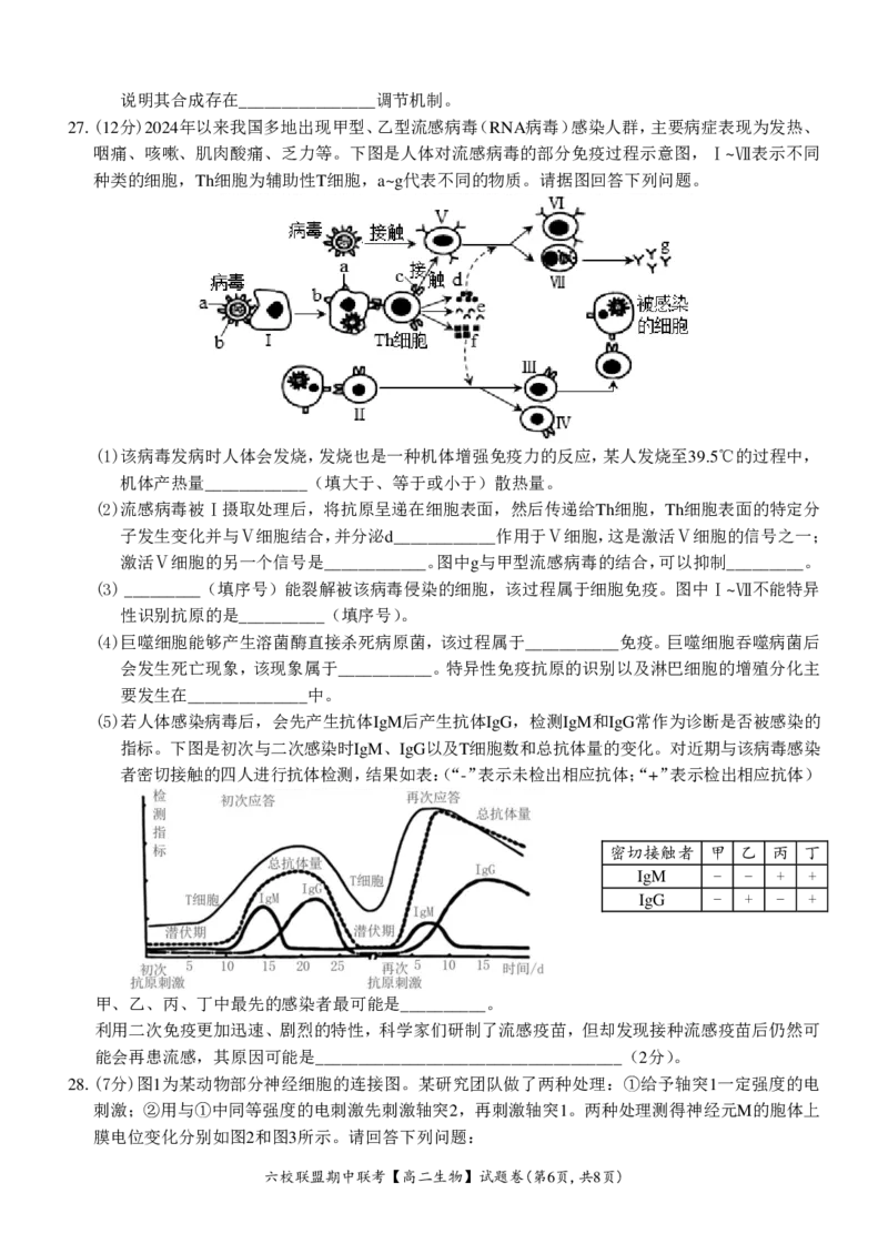 生物试题_2024-2025高二（7-7月题库）_2024年12月试卷_1205浙江省六校联盟2024-2025学年高二期中联考_浙江省六校联盟2024-2025学年高二上学期期中联考生物试题