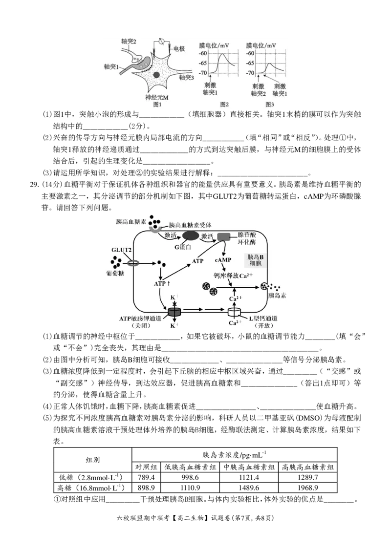 生物试题_2024-2025高二（7-7月题库）_2024年12月试卷_1205浙江省六校联盟2024-2025学年高二期中联考_浙江省六校联盟2024-2025学年高二上学期期中联考生物试题