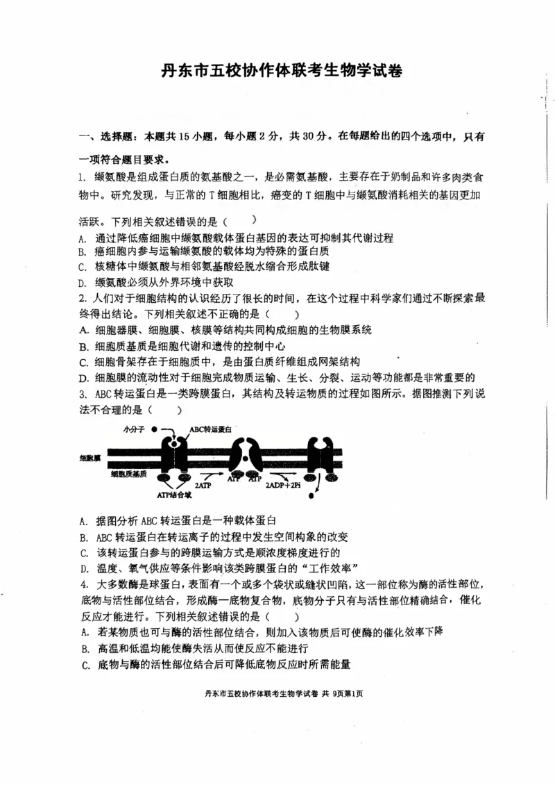 辽宁省丹东市五校协作体2024-2025学年高三上学期12月月考试题生物PDF版含答案_2024-2025高三（6-6月题库）_2024年12月试卷