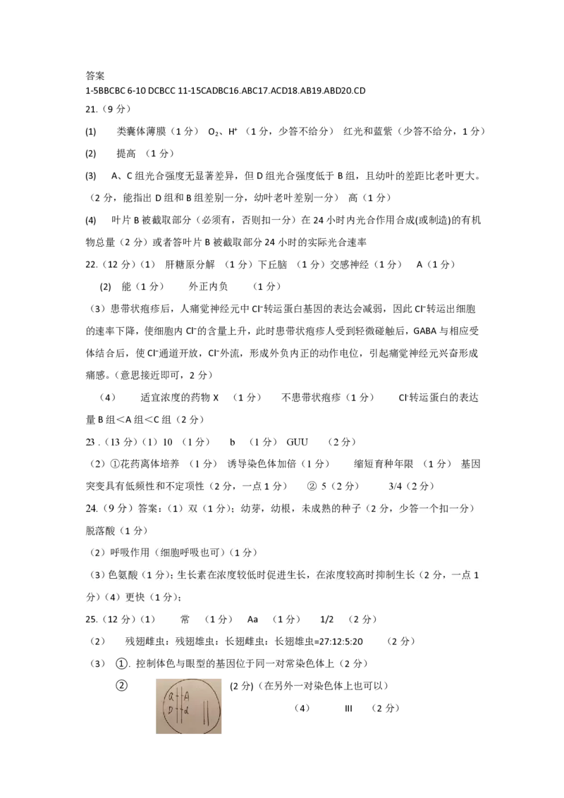 辽宁省丹东市五校协作体2024-2025学年高三上学期12月月考试题生物PDF版含答案_2024-2025高三（6-6月题库）_2024年12月试卷