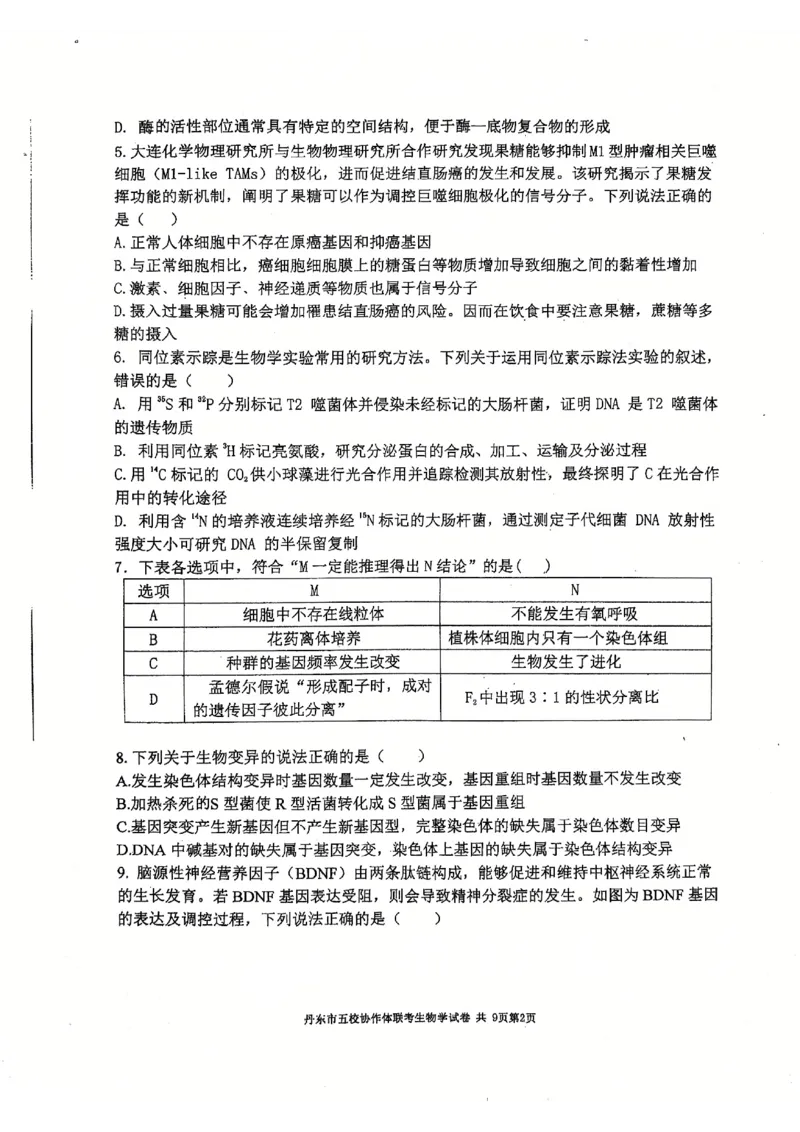 辽宁省丹东市五校协作体2024-2025学年高三上学期12月月考试题生物PDF版含答案_2024-2025高三（6-6月题库）_2024年12月试卷