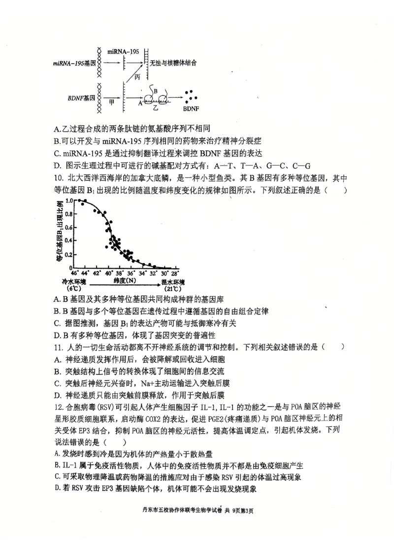 辽宁省丹东市五校协作体2024-2025学年高三上学期12月月考试题生物PDF版含答案_2024-2025高三（6-6月题库）_2024年12月试卷