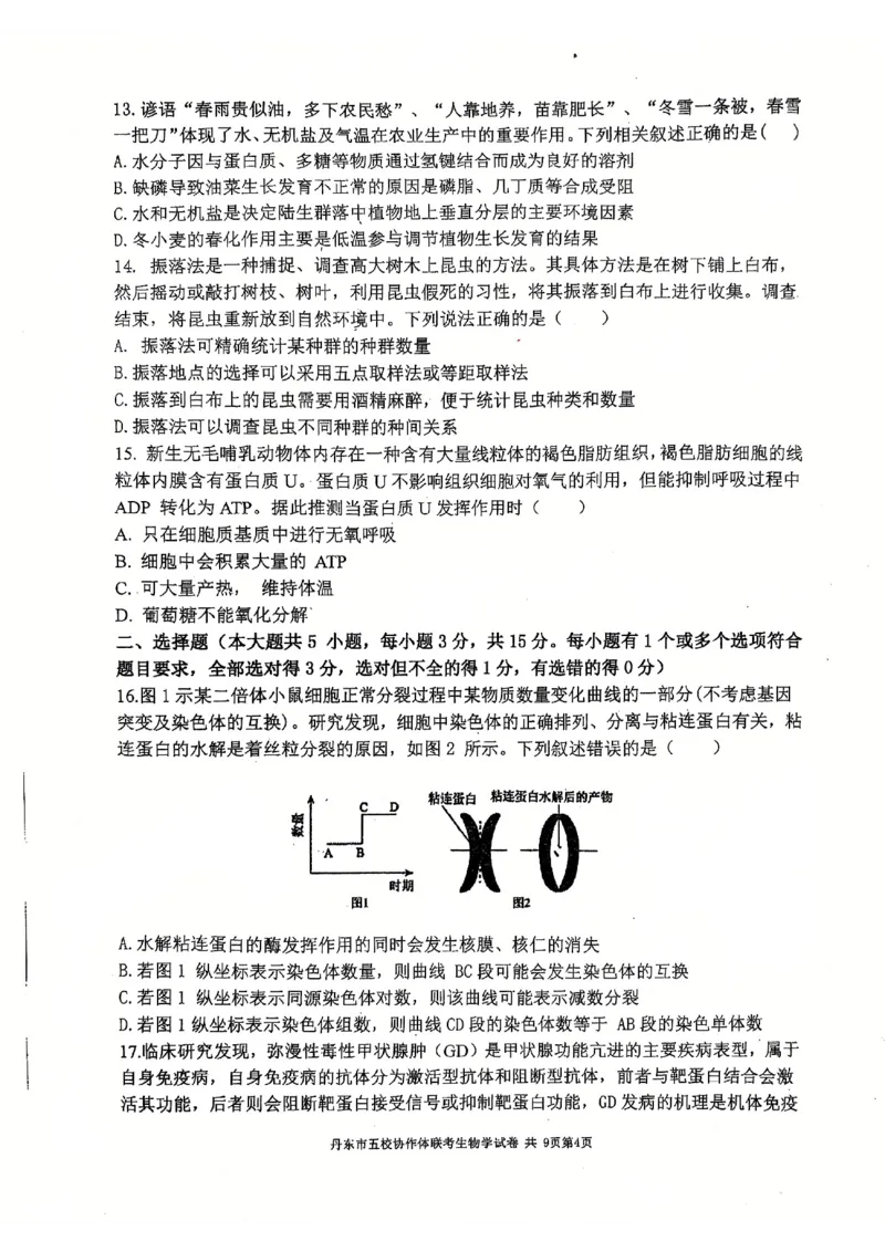 辽宁省丹东市五校协作体2024-2025学年高三上学期12月月考试题生物PDF版含答案_2024-2025高三（6-6月题库）_2024年12月试卷