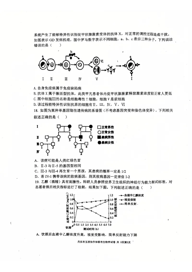 辽宁省丹东市五校协作体2024-2025学年高三上学期12月月考试题生物PDF版含答案_2024-2025高三（6-6月题库）_2024年12月试卷