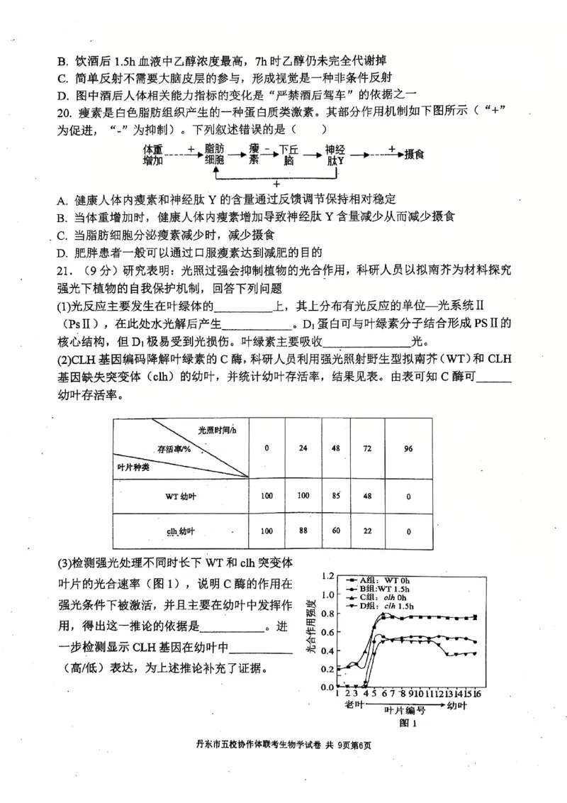 辽宁省丹东市五校协作体2024-2025学年高三上学期12月月考试题生物PDF版含答案_2024-2025高三（6-6月题库）_2024年12月试卷