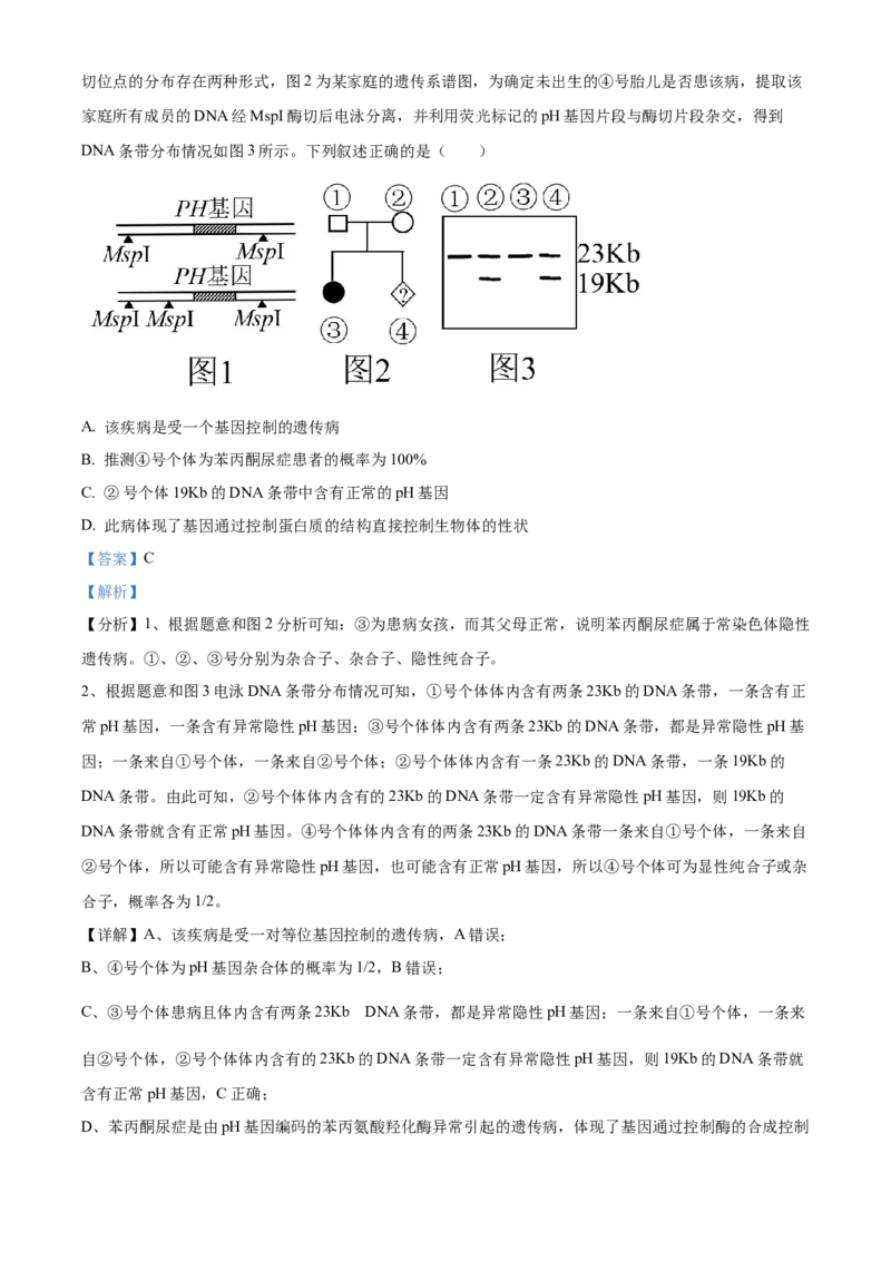 湖南省沅澧共同体2024-2025学年高三上学期第二次联考生物试题Word版含解析_2024-2025高三（6-6月题库）_2024年11月试卷_1112湖南省沅澧共同体2024-2025学年高三上学期第二次联考