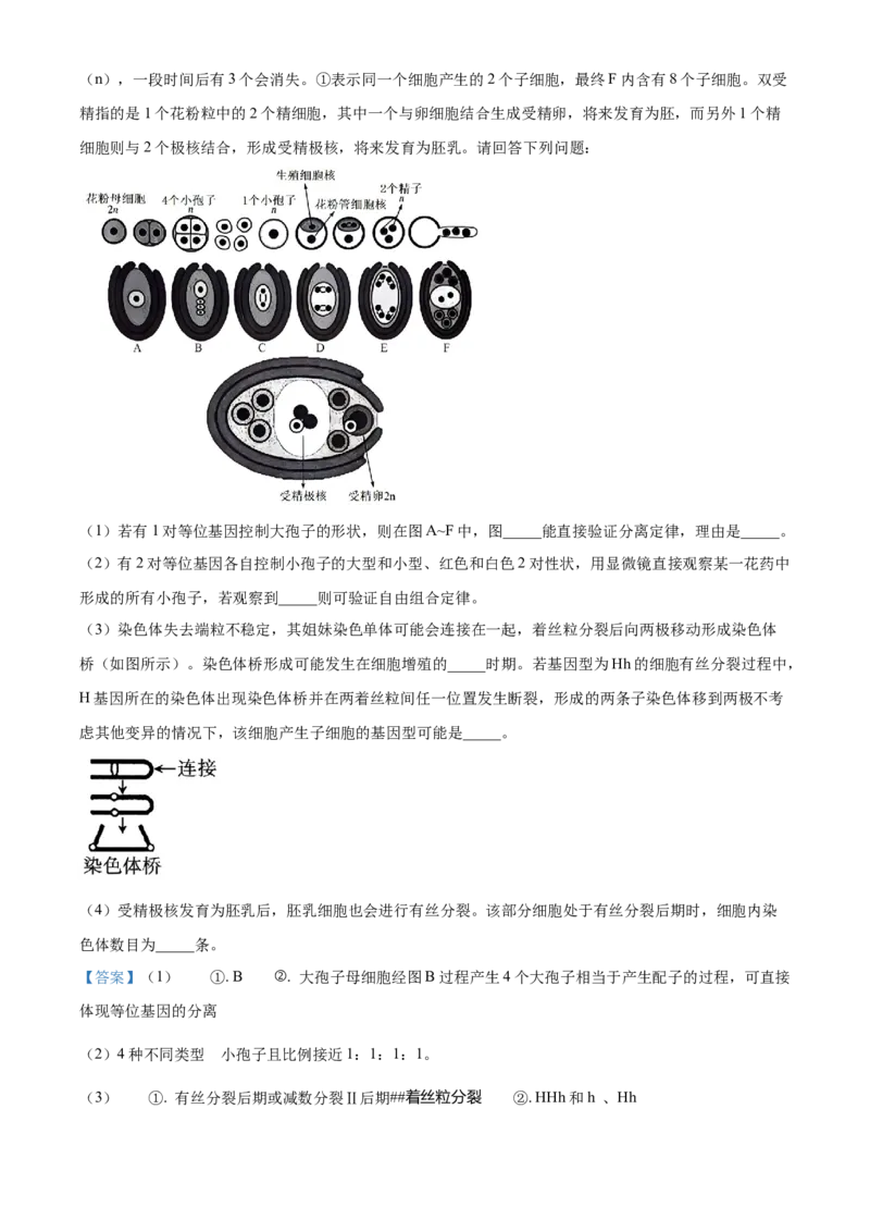 湖南省沅澧共同体2024-2025学年高三上学期第二次联考生物试题Word版含解析_2024-2025高三（6-6月题库）_2024年11月试卷_1112湖南省沅澧共同体2024-2025学年高三上学期第二次联考