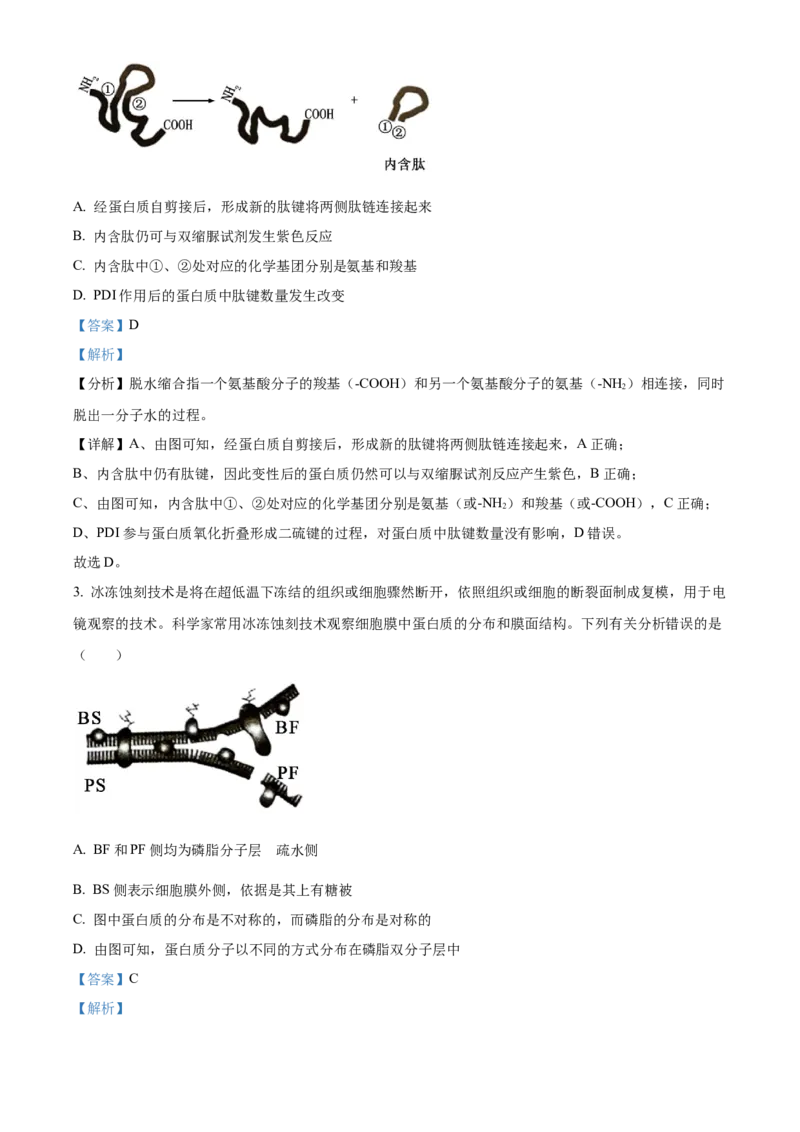 湖南省沅澧共同体2024-2025学年高三上学期第二次联考生物试题Word版含解析_2024-2025高三（6-6月题库）_2024年11月试卷_1112湖南省沅澧共同体2024-2025学年高三上学期第二次联考