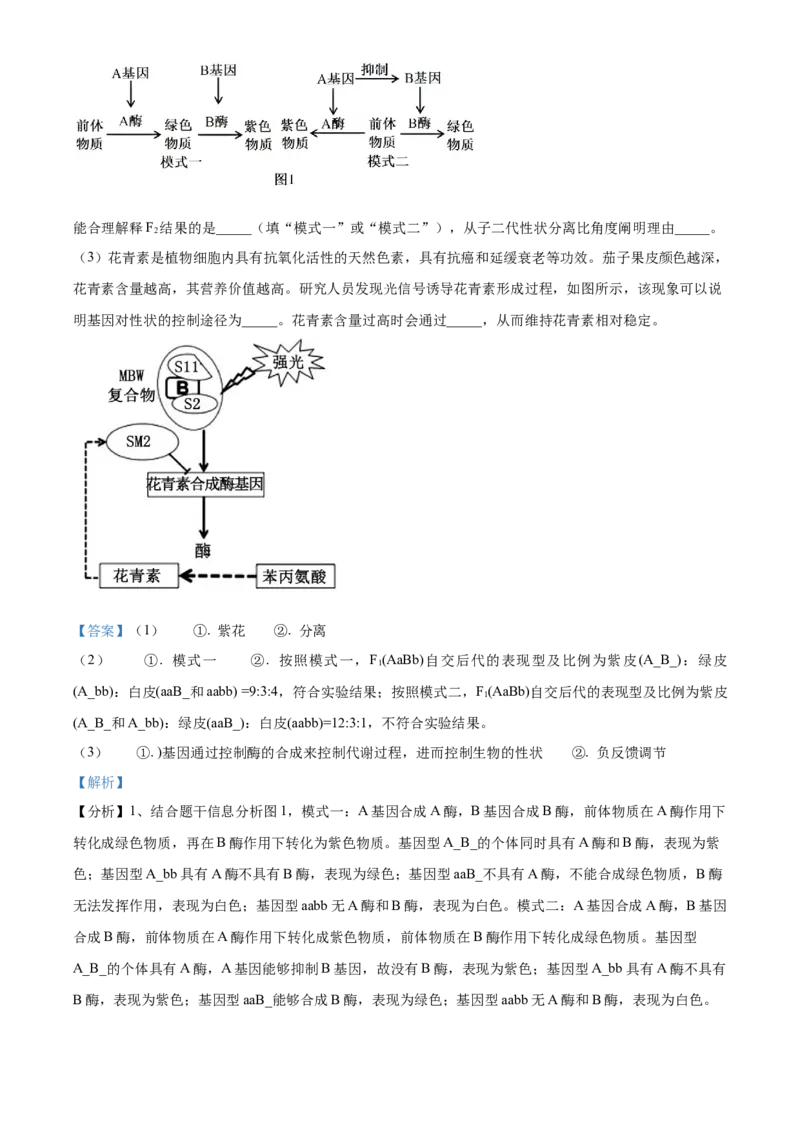 湖南省沅澧共同体2024-2025学年高三上学期第二次联考生物试题Word版含解析_2024-2025高三（6-6月题库）_2024年11月试卷_1112湖南省沅澧共同体2024-2025学年高三上学期第二次联考