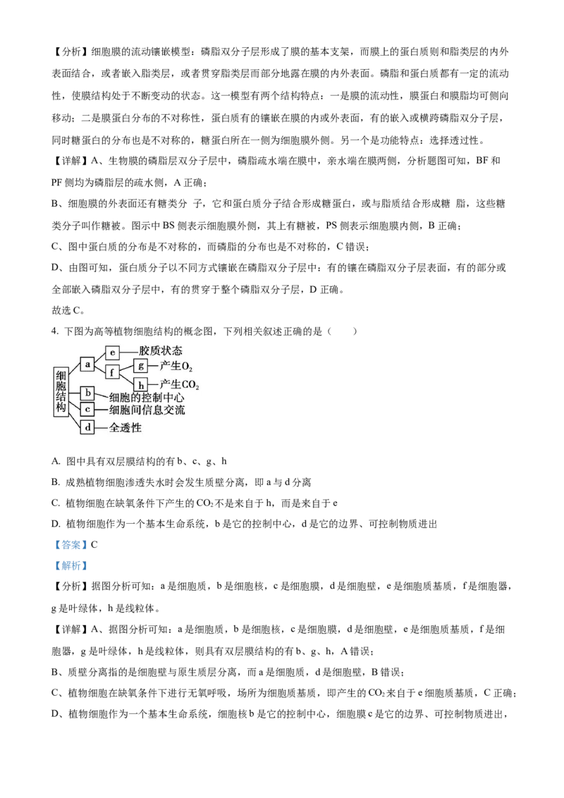 湖南省沅澧共同体2024-2025学年高三上学期第二次联考生物试题Word版含解析_2024-2025高三（6-6月题库）_2024年11月试卷_1112湖南省沅澧共同体2024-2025学年高三上学期第二次联考