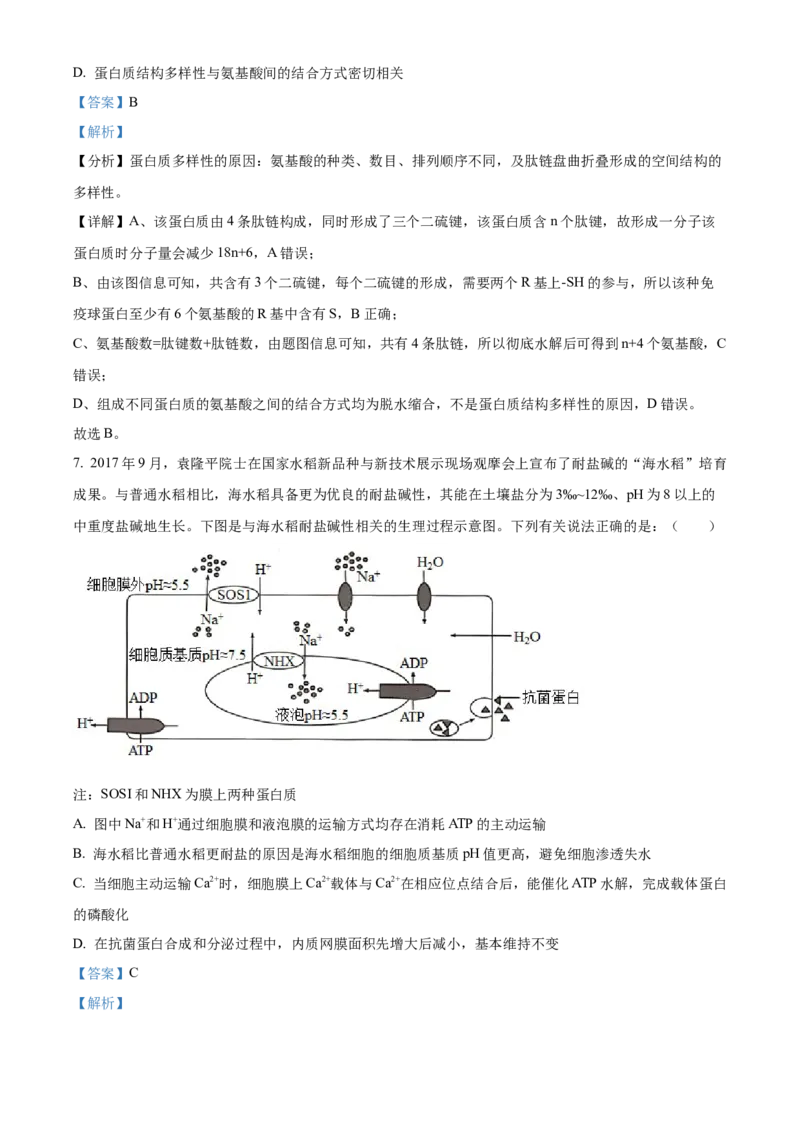 湖南省沅澧共同体2024-2025学年高三上学期第二次联考生物试题Word版含解析_2024-2025高三（6-6月题库）_2024年11月试卷_1112湖南省沅澧共同体2024-2025学年高三上学期第二次联考