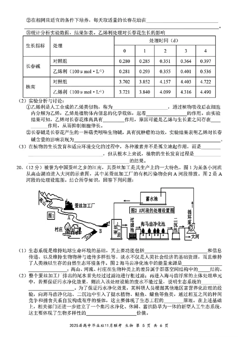生物_2024-2025高三（6-6月题库）_2024年12月试卷_1206广西新课程教研联盟2025届高三毕业班11月联考_广西新课程教研联盟2025届高三毕业班11月联考生物