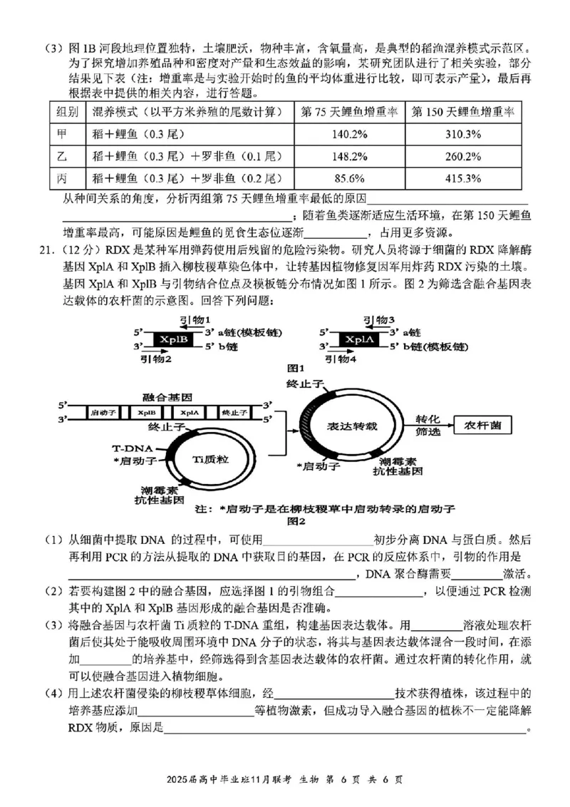 生物_2024-2025高三（6-6月题库）_2024年12月试卷_1206广西新课程教研联盟2025届高三毕业班11月联考_广西新课程教研联盟2025届高三毕业班11月联考生物
