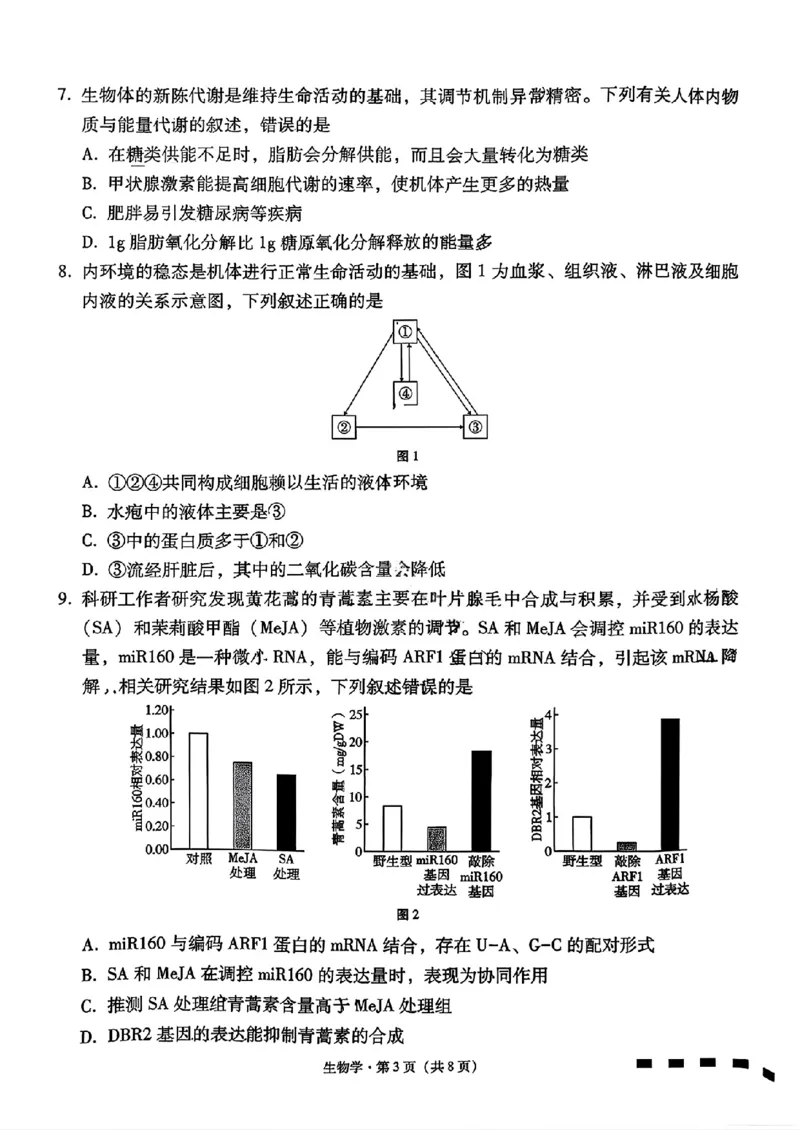 云南师大附中2026届高三月考试卷（七）生物_2024-2026高三（6-6月题库）_2026年01月高三试卷_0117云南师大附中2026届高考适应性月考卷（七）（全）