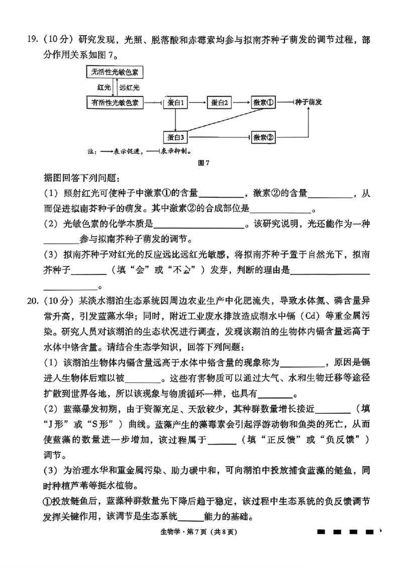 云南师大附中2026届高三月考试卷（七）生物_2024-2026高三（6-6月题库）_2026年01月高三试卷_0117云南师大附中2026届高考适应性月考卷（七）（全）