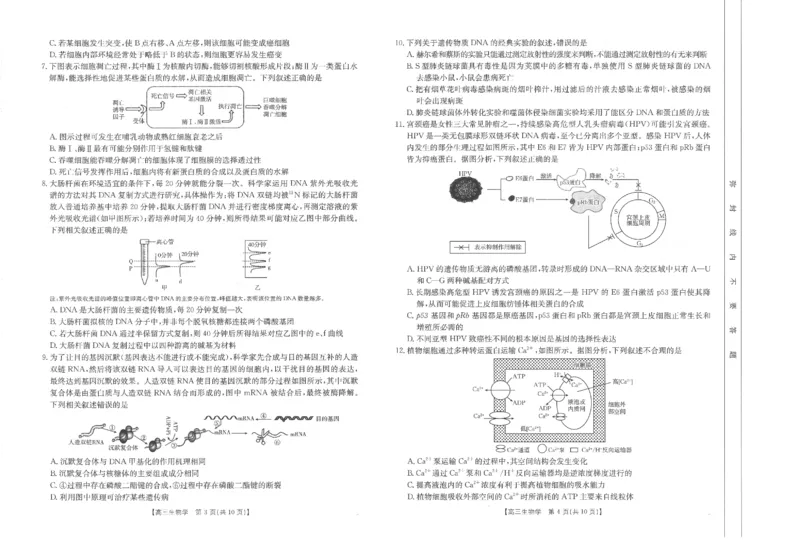 高三生物_2024-2025高三（6-6月题库）_2024年11月试卷_1119河南省金太阳2024-2025学年高三11月阶段性诊断考试（24-186C）（全科）