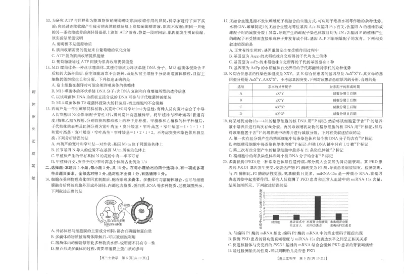 高三生物_2024-2025高三（6-6月题库）_2024年11月试卷_1119河南省金太阳2024-2025学年高三11月阶段性诊断考试（24-186C）（全科）