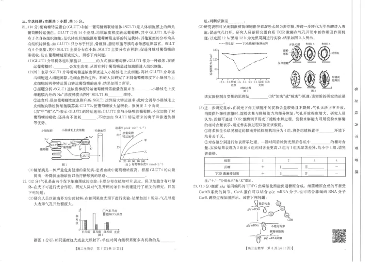 高三生物_2024-2025高三（6-6月题库）_2024年11月试卷_1119河南省金太阳2024-2025学年高三11月阶段性诊断考试（24-186C）（全科）