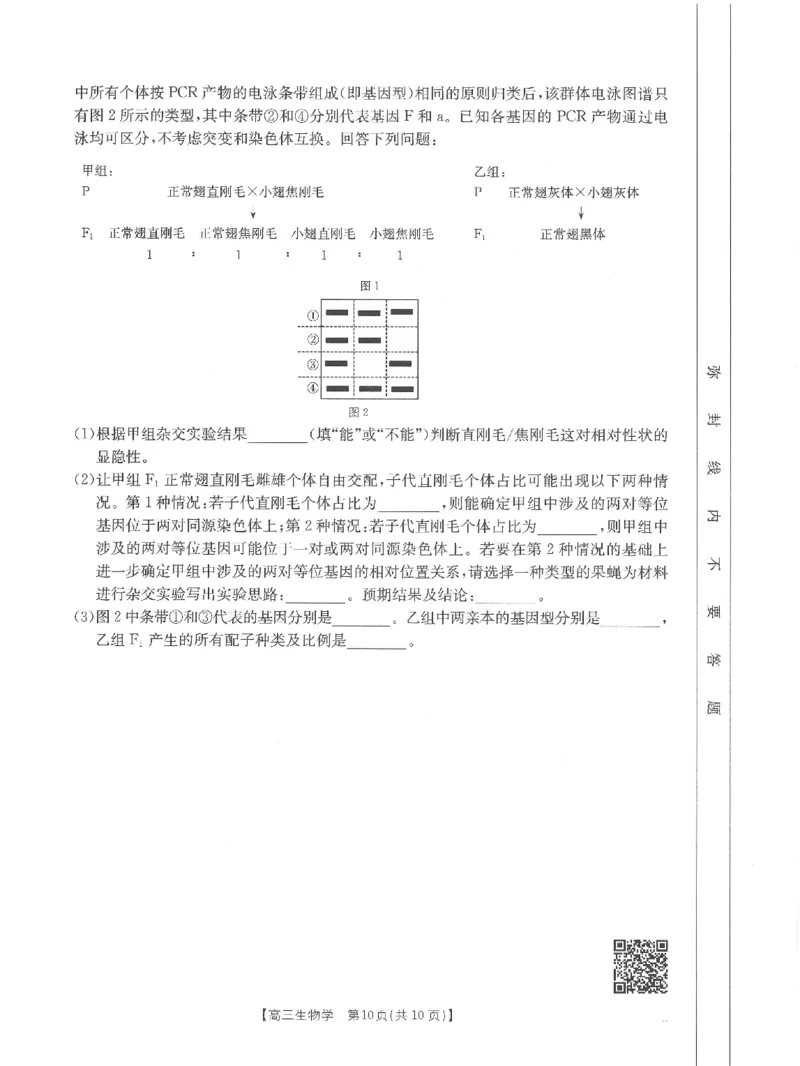 高三生物_2024-2025高三（6-6月题库）_2024年11月试卷_1119河南省金太阳2024-2025学年高三11月阶段性诊断考试（24-186C）（全科）