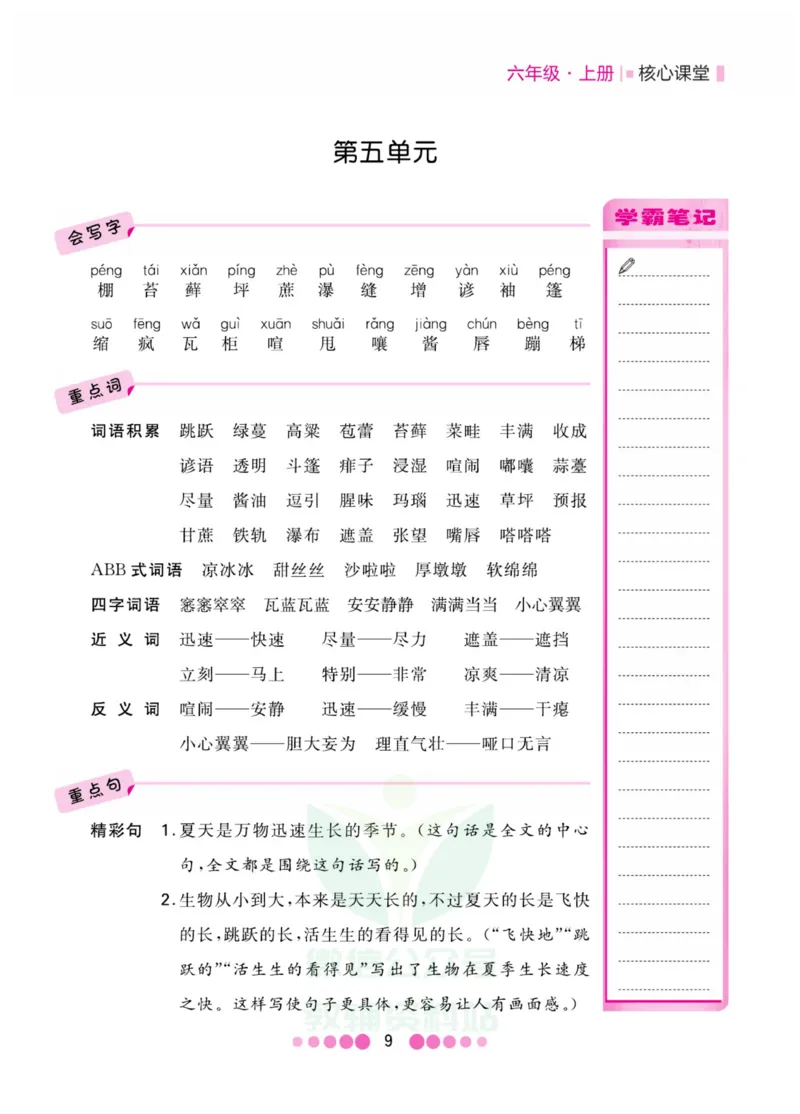 六年级上册语文部编版考点过关_小学1-6年级全部试卷_语文_六年级_3-11-1、小学六年级语文上册_3-11-1-1、复习、知识点、归纳汇总_部编（人教）版