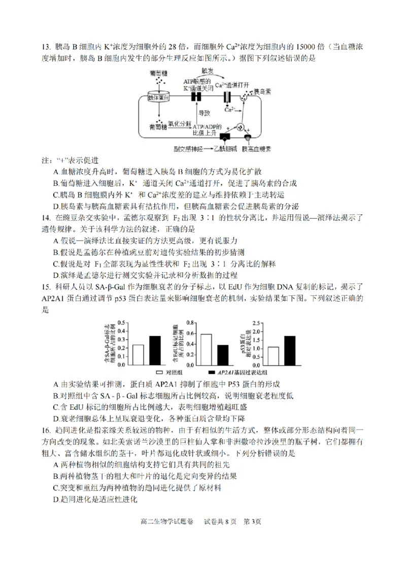 生物卷-2510高二浙江六校_2025年10月高二试卷_251014浙江省六校联盟2025-2026学年高二上学期10月月考_浙江省六校联盟2025-2026学年高二上学期10月月考生物试题（含答案）