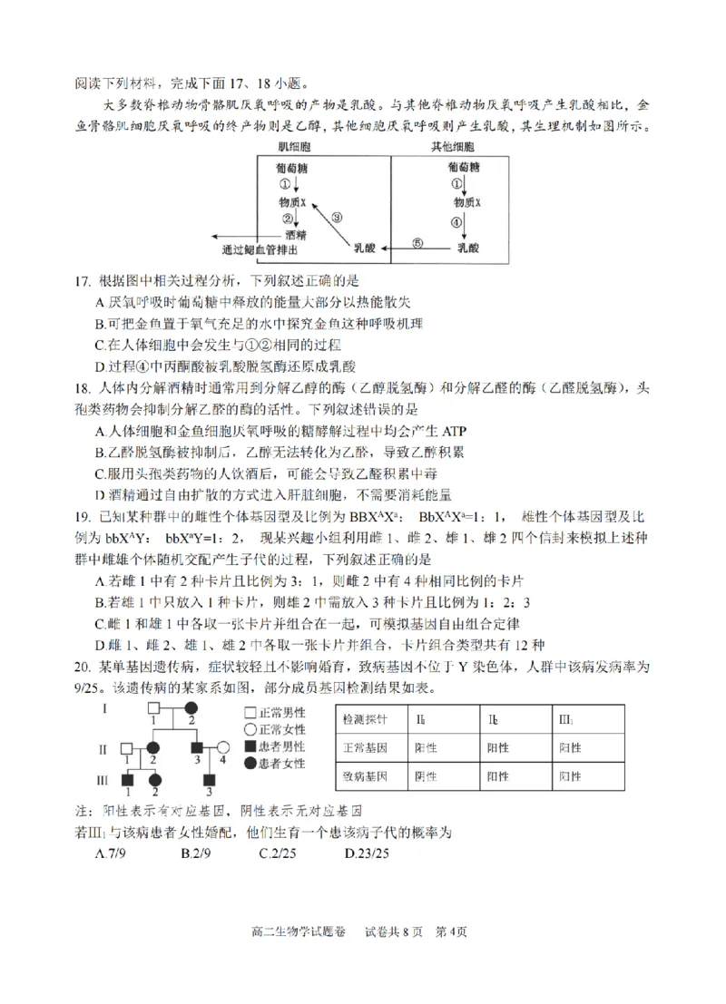 生物卷-2510高二浙江六校_2025年10月高二试卷_251014浙江省六校联盟2025-2026学年高二上学期10月月考_浙江省六校联盟2025-2026学年高二上学期10月月考生物试题（含答案）
