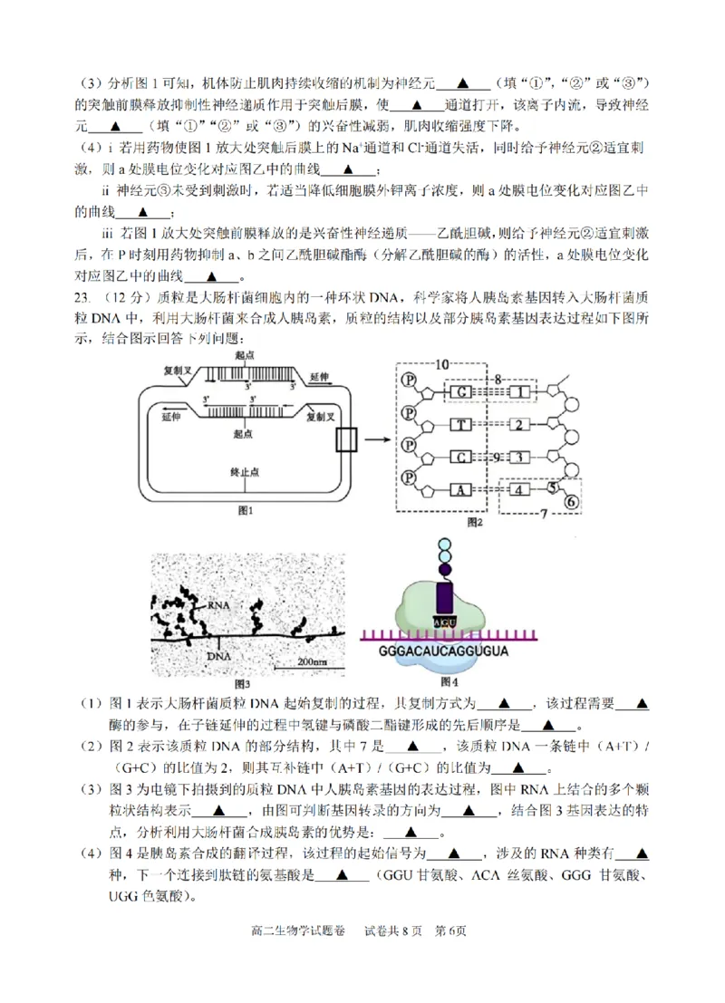 生物卷-2510高二浙江六校_2025年10月高二试卷_251014浙江省六校联盟2025-2026学年高二上学期10月月考_浙江省六校联盟2025-2026学年高二上学期10月月考生物试题（含答案）