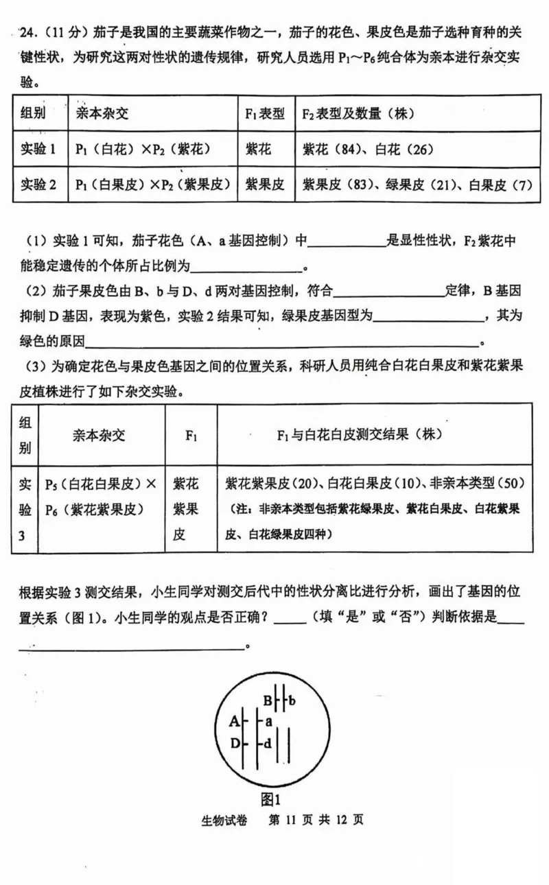 黑龙江省哈尔滨市第三中学2025届高三上学期期中考试生物+答案_2024-2025高三（6-6月题库）_2024年11月试卷_1118黑龙江省哈尔滨市第三中学2025届高三上学期期中考试