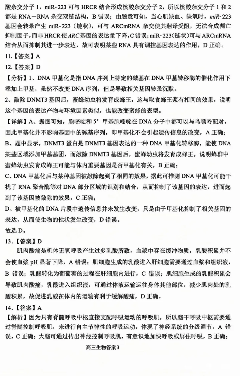 黑龙江省哈尔滨市第三中学2025届高三上学期期中考试生物+答案_2024-2025高三（6-6月题库）_2024年11月试卷_1118黑龙江省哈尔滨市第三中学2025届高三上学期期中考试