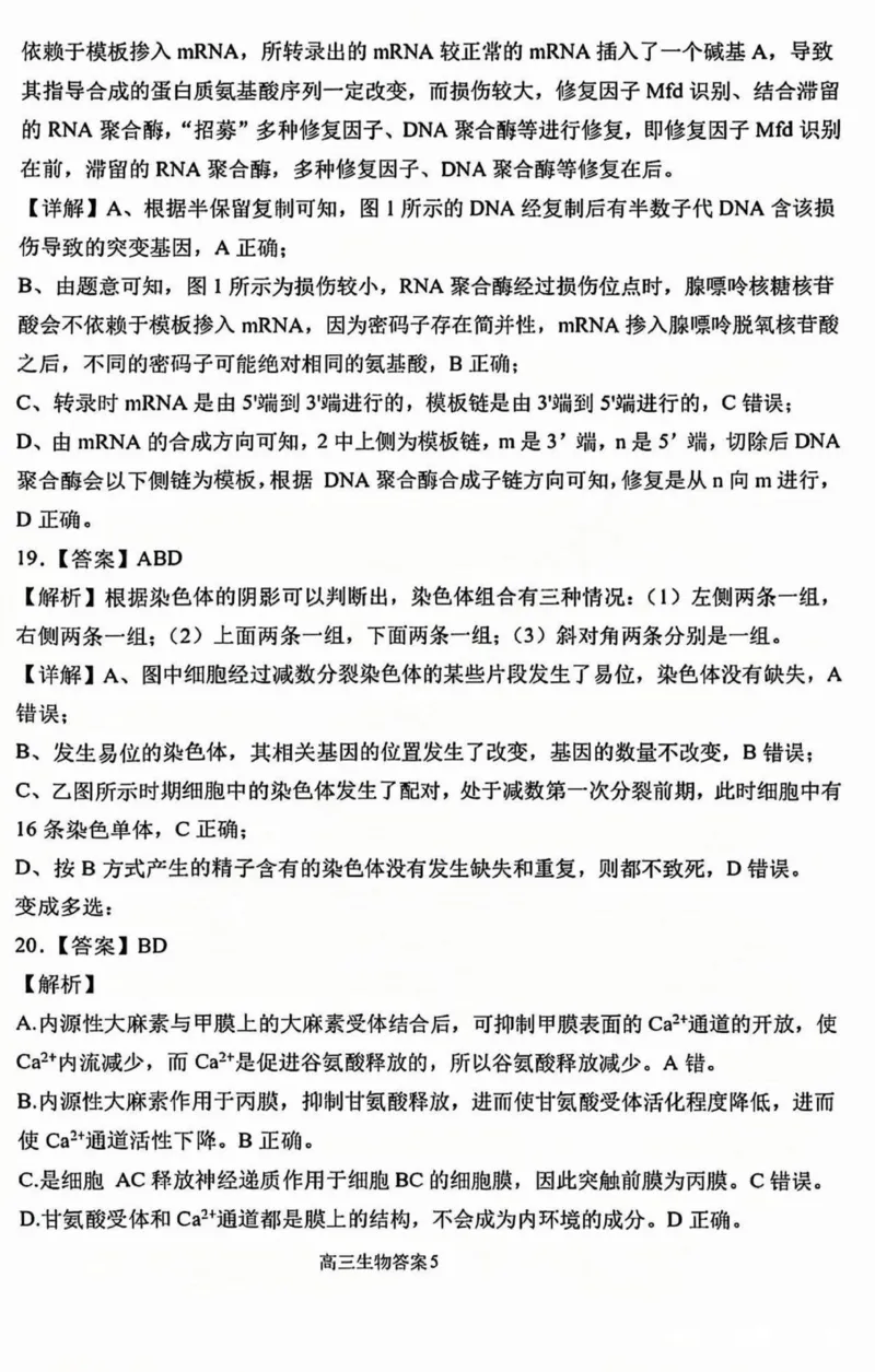 黑龙江省哈尔滨市第三中学2025届高三上学期期中考试生物+答案_2024-2025高三（6-6月题库）_2024年11月试卷_1118黑龙江省哈尔滨市第三中学2025届高三上学期期中考试